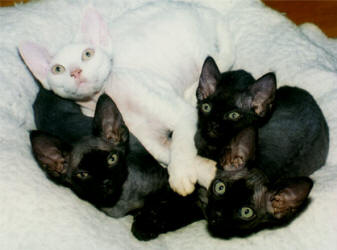 Black and White...